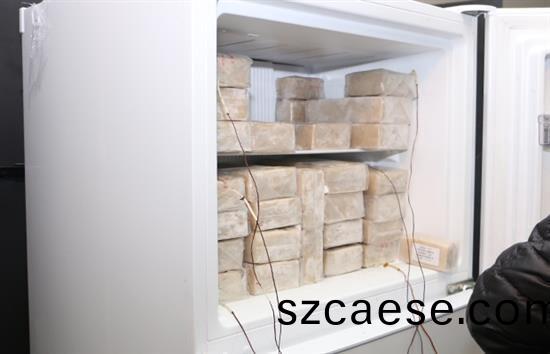 Refrigerator and freezer performance testing